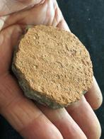 Bodemvondst Romeins NIJMEGEN terracotta SPEELSCHIJF Legioen!, Ophalen of Verzenden