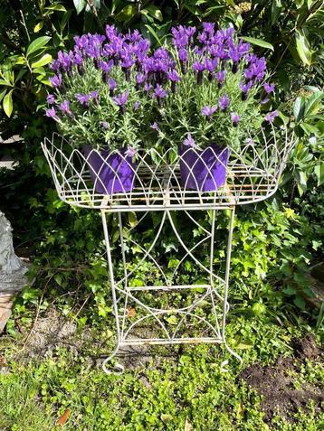 smeedijzeren brocante jardiniere victoriaans plantenbak