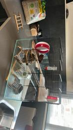 Hamster kooi groot, Dieren en Toebehoren, Kooi, Minder dan 75 cm, Zo goed als nieuw, Hamster
