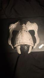 Dino mask fursuit furry, Ophalen of Verzenden