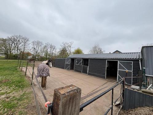 Pensionstalling beschikbaar in Prinsenbeek, Dieren en Toebehoren, Stalling en Weidegang, Stalling, Weidegang, 1 paard of pony