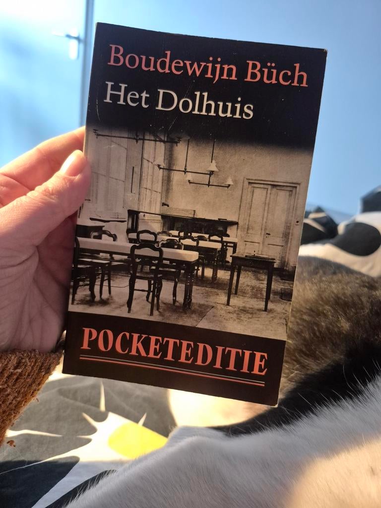 Boudewijn Buch - Het dolhuis, Ophalen of Verzenden, Gelezen, B. Buch