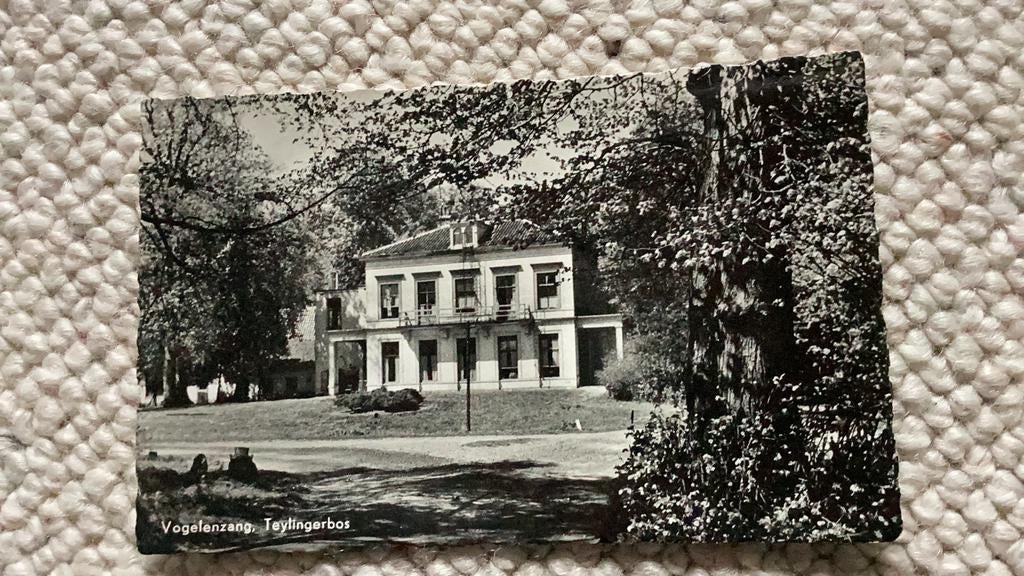 Ansichtkaart Vogelenzang Teylingerbos   936, Ophalen of Verzenden, 1940 tot 1960, Gelopen, Noord-Holland