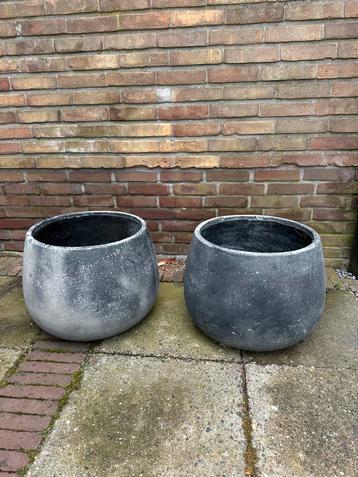 Grote bloempotten beschikbaar voor biedingen