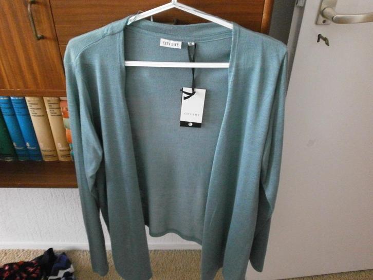 NIEUW !  3 vesten merk City Life maat XL, Kleding | Dames, Truien en Vesten, Nieuw, Maat 46/48 (XL) of groter, Overige kleuren