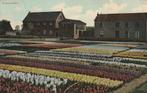 HOLLAND Bloemenland Bollenvelden Militair 1918 kl.f., Verzamelen, Ansichtkaarten | Nederland, Verzenden, Voor 1920, Gelopen, Zuid-Holland
