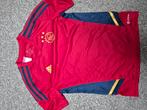 Ajax shirt 152, Sport en Fitness, Voetbal, Ophalen of Verzenden, Zo goed als nieuw