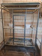 Ara kooi,102cmx61cmx130cm hoog.Totale  165 cm op wielen, Ophalen, Zo goed als nieuw, Metaal, Vogelkooi