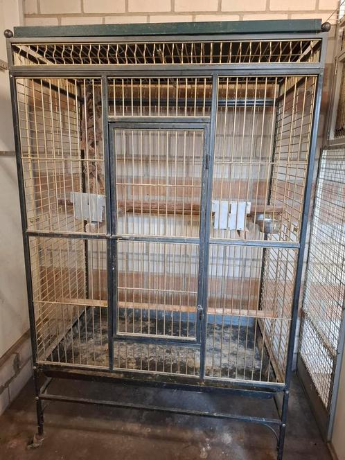 Ara kooi,102cmx61cmx130cm hoog.Totale  165 cm op wielen, Dieren en Toebehoren, Vogels | Hokken en Kooien, Zo goed als nieuw, Vogelkooi