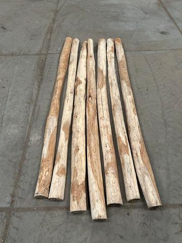 Robinia Palen - 7 stuks beschikbaar voor biedingen