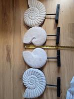 zee decoratie 4 foto's, Ophalen of Verzenden, Zo goed als nieuw