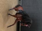 Speelgoed paard klein, Verzenden, Zo goed als nieuw