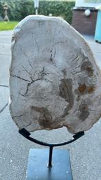 Agaatschijf 1,8 kg, Verzamelen, Mineralen en Fossielen, Ophalen of Verzenden, Fossiel