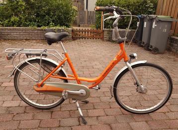 Gazelle Bloom  beschikbaar voor biedingen