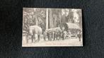 Olifanten trekken kar met vat Sri Lanka, Ophalen of Verzenden, Voor 1920, Gelopen, Wild dier