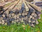 Boompalen, Tuin en Terras, Palen, Balken en Planken, Ophalen, Gebruikt, 250 cm of meer, Balken