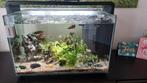 Aquarium + toebehoren, Ophalen, Zo goed als nieuw