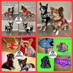 Hondenjasje, truitje, dekje, tuigje en andere artikelen hond, Dieren en Toebehoren, Hondenkleding, Ophalen of Verzenden, Nieuw
