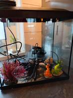Aquarium 30x30/35 cm, Dieren en Toebehoren, Ophalen, Zo goed als nieuw