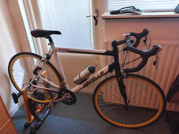 Gazelle squrora race fiets  beschikbaar voor biedingen