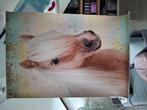 Paarden poster, Ophalen of Verzenden, Zo goed als nieuw, Foto of Poster, Minder dan 50 cm