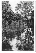 Rockanje Kwakjeswater Oude Gelopen Ansichtkaart ( B138 ), Verzamelen, Ansichtkaarten | Nederland, Ophalen of Verzenden, 1940 tot 1960