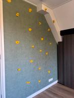 Klimgrepen 20 stuks, Sport en Fitness, Ophalen of Verzenden, Zo goed als nieuw, Klimsport-accessoire