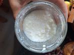 Melk kefir korrels 80 gram, Diversen, Ophalen