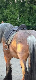 Wintec veelzijdigheid zadel, Dieren en Toebehoren, Ophalen of Verzenden, Nieuw, Recreatie