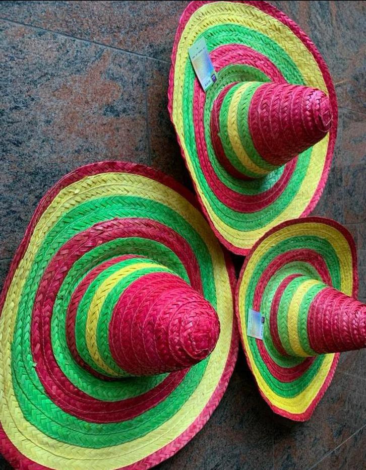 Mexicaanse Sombrero - Kleurrijk!, Hobby en Vrije tijd, Feestartikelen, Nieuw, Hoed of Pruik, Carnaval, Ophalen of Verzenden