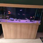 Mooie Juwel Rio 450 compleet met toebehoren ( leeg ), Ophalen, Zo goed als nieuw, Gevuld zoetwateraquarium