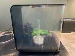 Biorb 30 liter, Dieren en Toebehoren, Verzenden, Leeg aquarium