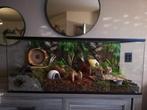 Hamster terrarium met vast voorschot, Nieuw, Minder dan 75 cm, Minder dan 60 cm, Hok