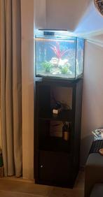 Superfish Qubiq pro 60 met onderkast, Dieren en Toebehoren, Vissen | Aquaria en Toebehoren, Ophalen, Zo goed als nieuw, Leeg aquarium