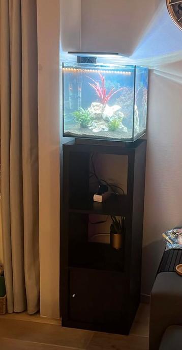 Superfish Qubiq pro 60 met onderkast beschikbaar voor biedingen
