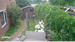 Blokhut 250 x 220 zelf demonteren., Ophalen, 250 tot 500 cm, Blokhut, Hout