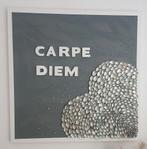 Schelpenschilderij carpe diem wandobject, Huis en Inrichting, Ophalen, Zo goed als nieuw, 100 tot 125 cm, 75 cm of meer