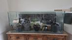 aquarium, Dieren en Toebehoren, Vissen | Aquaria en Toebehoren, Ophalen, Leeg aquarium