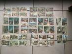 52 oude volledige reeksen Liebig + 216 plaatjes geen reeksen, Ophalen of Verzenden, Gebruikt, Meerdere plaatjes