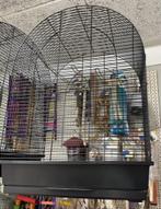 Vogelkooi Big Lucie zwart 54 x 34 x 75cm - Parkietenkooi, Ophalen, Nieuw, Vogelkooi, Metaal