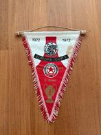 Ajax vaan 1972/73 30 cm, Ophalen of Verzenden, Ajax
