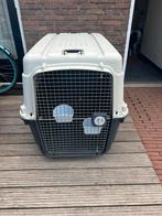 Kennel NIEUW extra groot IATA travelbox 121x82x90, Ophalen, Nieuw