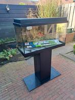 Te koop aquarium juwel 80, Dieren en Toebehoren, Vissen | Aquaria en Toebehoren, Ophalen, Leeg aquarium