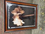 prent amarylis groot mahony lijst, Ophalen of Verzenden, 'T Olde Gre-j, Info@toldegrej.nl, Endepoelstraat 20f Didam