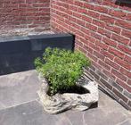 Betonnen plantenbak, Ophalen, Minder dan 60 cm, Rond, Zo goed als nieuw