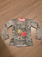Trui maat 140, Kinderen en Baby's, Kinderkleding | Maat 140, Ophalen of Verzenden, Zo goed als nieuw, Meisje, Trui of Vest
