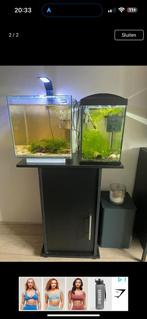Aquarium, Ophalen, Zo goed als nieuw, Leeg aquarium