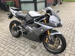 Triumph Daytona 675, 675 cc, 3 cilinders, Meer dan 35 kW, Sport