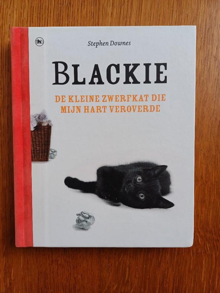 Stephen Downes - Blackie, Boeken, Literatuur, Nieuw, Nederland, Ophalen of Verzenden