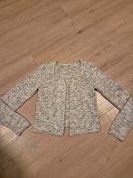 Grijs vest maat L, Ophalen of Verzenden, Zo goed als nieuw, Maat 38/40 (M), Grijs